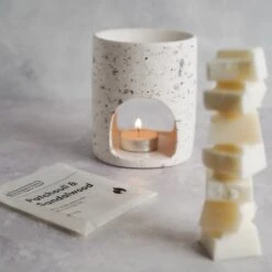 The Essence Vault Coconut And Lime - Wax Melt Bar -The Essence Vault DSC05199 2 41279975 ec3e 4cad afd2 1e3977c97a72