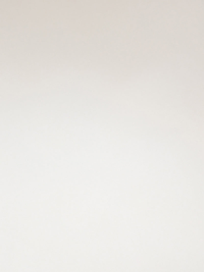 The Essence Vault -The Essence Vault plain bg